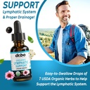lymphatic-drainage-supplements-drops-pil-4.jpg