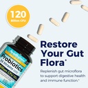 newrhythm-probiotics-120-billion-cfu-36--2.jpg