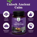 high-strength-organic-ashwagandha-supple-3.jpg