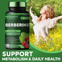 potent-1200mg-berberine-supplement-120-c-2.jpg