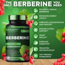 potent-1200mg-berberine-supplement-120-c-3.jpg