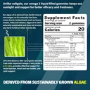 vegan-omega-3-gummies-1000mgiron-supplem-2.jpg