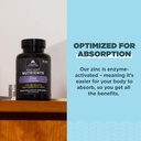 ancient-nutrition-zinc-capsules-30-count-5.jpg