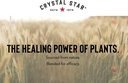 crystal-star-womens-best-friend-for-peri-5.jpg