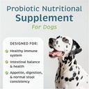 vetone-advita-probiotic-nutritional-supp-2.jpg