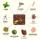 gem-energy-caffeinated-bite-holistic-sus-6.jpg