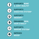 zammex-bone-broth-protein-powder-pure-gr-4.jpg