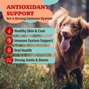 natural-dog-company-skin-coat-health-bun-3.jpg