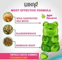 sea-moss-gummies---natural-irish-sea-mos-4.jpg