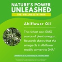 bold-botanica-plant-omega-3-6-9-with-ahi-6.jpg