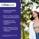 fineland-wild-blueberry-101-extract-6000-2.jpg