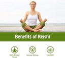 om-mushroom-superfood-reishi-organic-mus-4.jpg