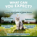 urinary-and-kidney-powder-supplement-for-3.jpg