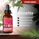 herbal-goodness-papaya-leaf-blood-platel-4.jpg