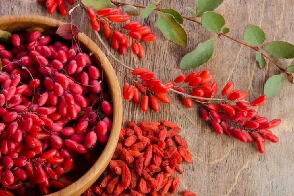 pure-original-ingredients-berberine-730--6.jpg