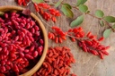 pure-original-ingredients-berberine-730--6.jpg