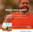 host-defense-cordyceps-capsules---immune-5.jpg