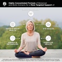 whole-food-daily-essential-multivitamins-2.jpg
