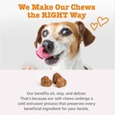 zesty-paws-salmon-oil-for-dogs-skin-and--6.jpg