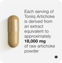artichoke-extract-151-with-5-cynarin-60--5.jpg