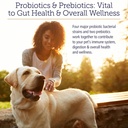 rx-vitamins-rx-biotic---probiotic-powder-2.jpg