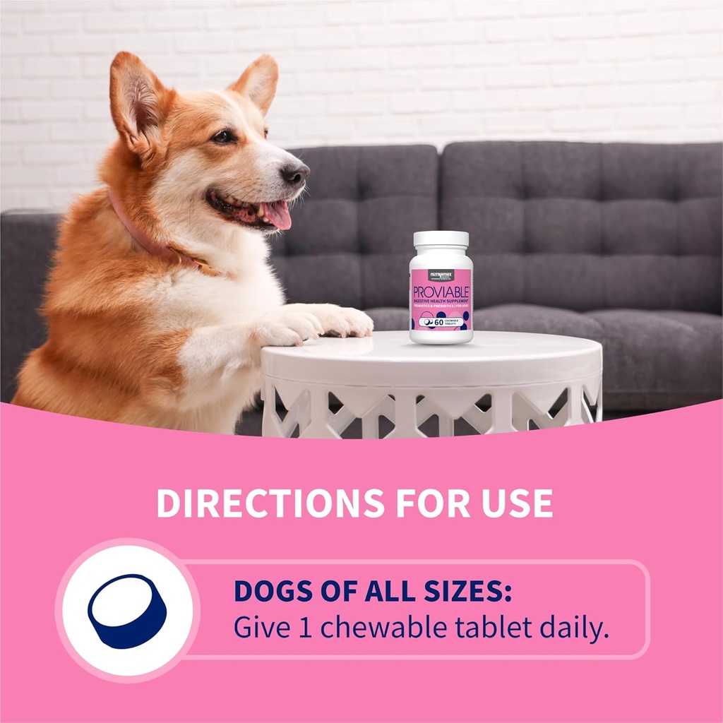 nutramax-proviable-probiotics-for-dogs-d-6.jpg
