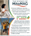 blissful-mitomag-300mg-elemental-magnesi-5.jpg