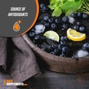 bulksupplementscom-blueberry-extract-cap-6.jpg