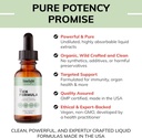 limelight-herbals-tick-formula-advanced--4.jpg