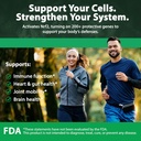 sulforamax-30-capsules---sulforaphane-br-2.jpg