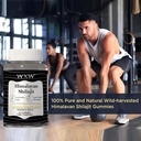 trace-minerals-shilajit-gummies-blueberr-4.jpg