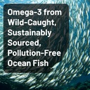 naturewise-ultra-omega-3-fish-oil-2200-m-3.jpg