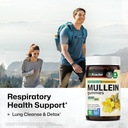 bio-krauter-mullein-gummies-for-lungs-20-2.jpg