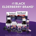 sambucol-cold-and-flu-relief-tablets---h-6.jpg