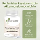 newly-akkermansia-pack-of-1-3.jpg