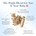 lovebug-prenatal-probiotic-supplement----2.jpg