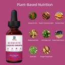 2-pack-berberine-hcl-supplement---berber-3.jpg