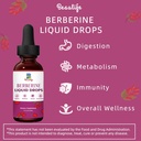 2-pack-berberine-hcl-supplement---berber-4.jpg