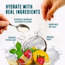 flavcity-electrolytes-powder-packets---2-3.jpg