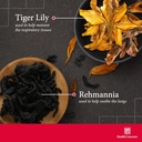 health-concerns-lily-bulb-formula-dry-co-3.jpg