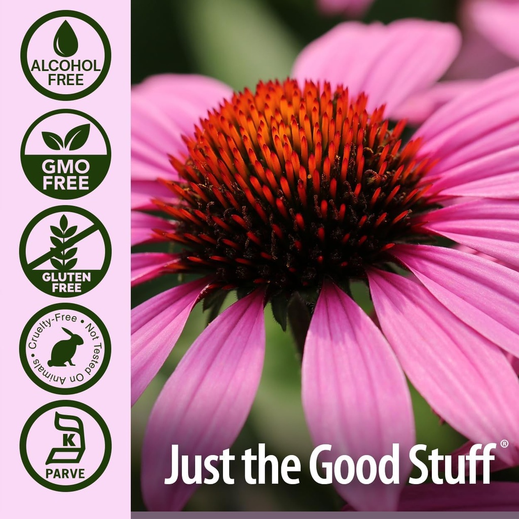 natures-answer-echinacea-alcohol-free-ex-5.jpg
