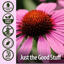natures-answer-echinacea-alcohol-free-ex-5.jpg