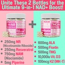 shizam-tmg-betaine-alpha-lipoic-acid-ala-5.jpg