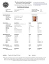 papua-new-guinea-kava-powder---premium-1-2.jpg