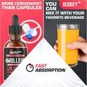 herbify-mullein-drops---lung-cleanse---l-5.jpg