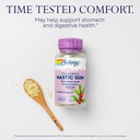 solaray-mastic-gum-extract-500-mg-45-cou-3.jpg