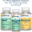 solaray-mastic-gum-extract-500-mg-45-cou-6.jpg