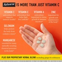 airborne-1000mg-vitamin-c-zinc-immune-su-4.jpg