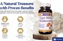 tiger-milk-mushroom-lignosus-rhino-usa-g-2.jpg