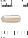 resveratrol-98-pure-trans-resveratrol-fr-3.jpg